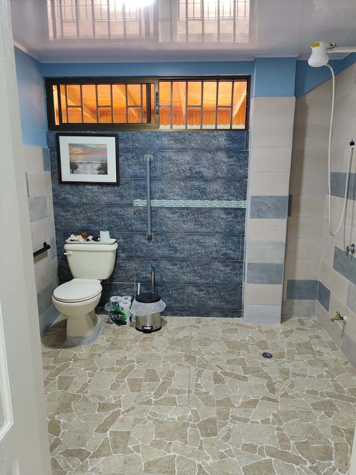 Accessible bathroom with grab bars